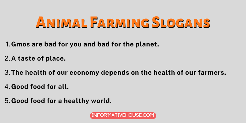 Animal Farming Slogans