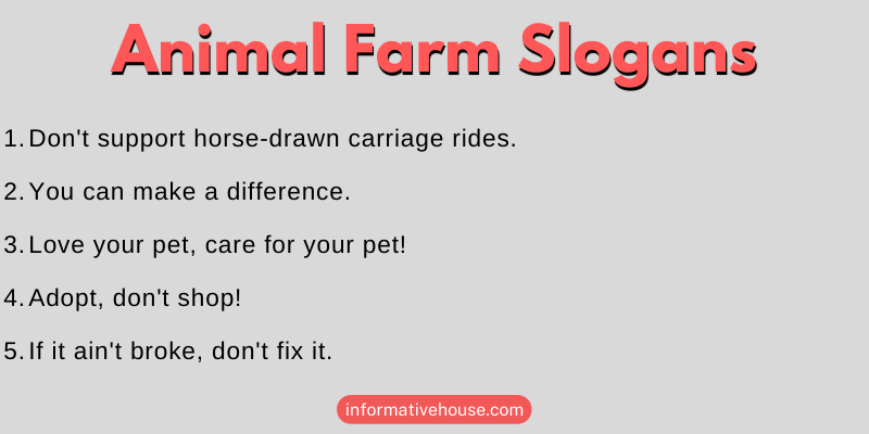 Animal Farm Slogans
