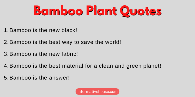 Bamboo Plant Quotes