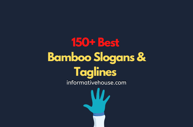 Bamboo Slogans Ideas