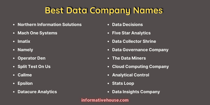 Best Data Company Names