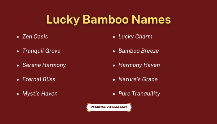 Lucky Bamboo Names
