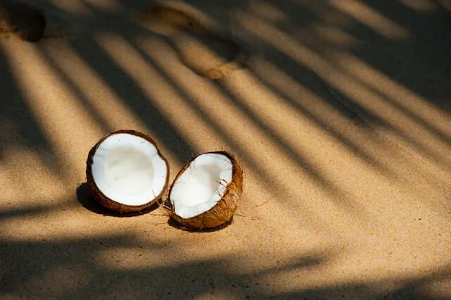 Coconut Business Names Ideas