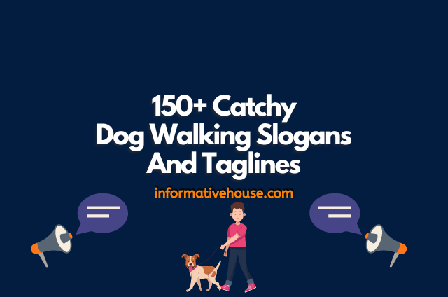 Dog Walking Slogans Ideas