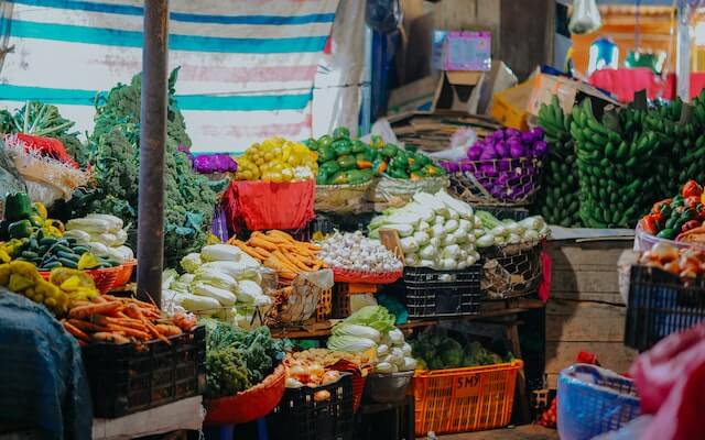 Farmers Market Names Ideas