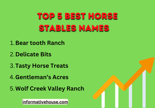 top 5 best horse stables names