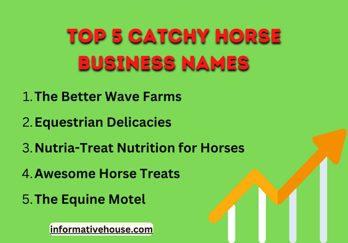 top 5 catchy horse business names