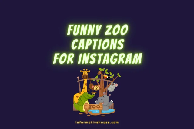 Funny Zoo Captions For Instagram