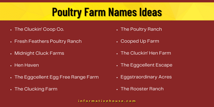 Poultry Farm Names Ideas