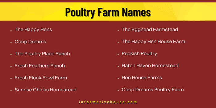 Poultry Farm Names