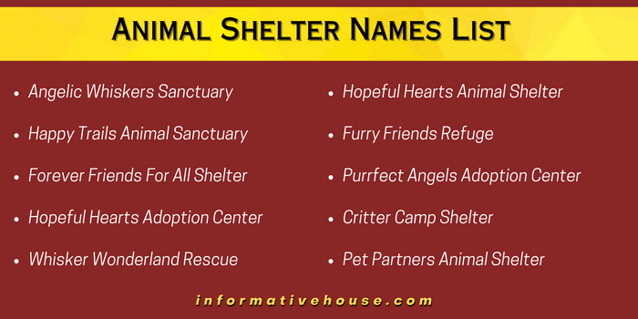 Animal Shelter Names List