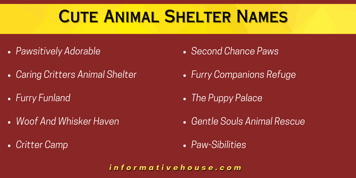 Cute Animal Shelter Names
