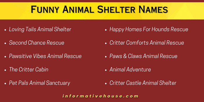 Funny Animal Shelter Names