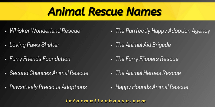 Animal Rescue Names