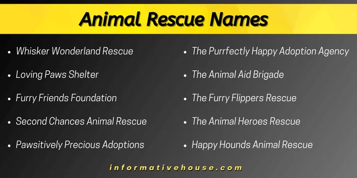 Animal Rescue Names