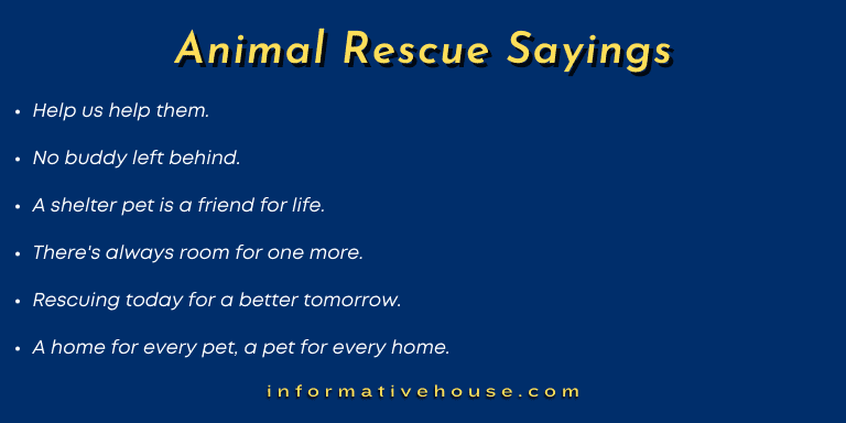 Animal Rescue Sayings