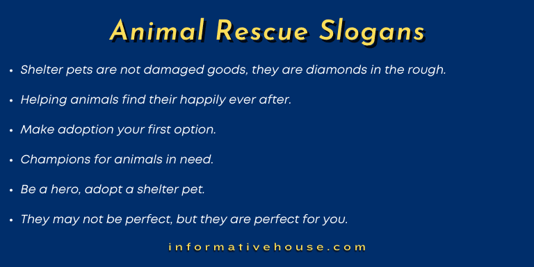 Animal Rescue Slogans