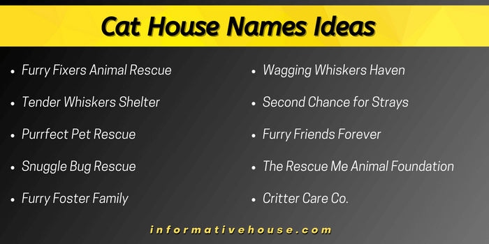Cat House Names Ideas