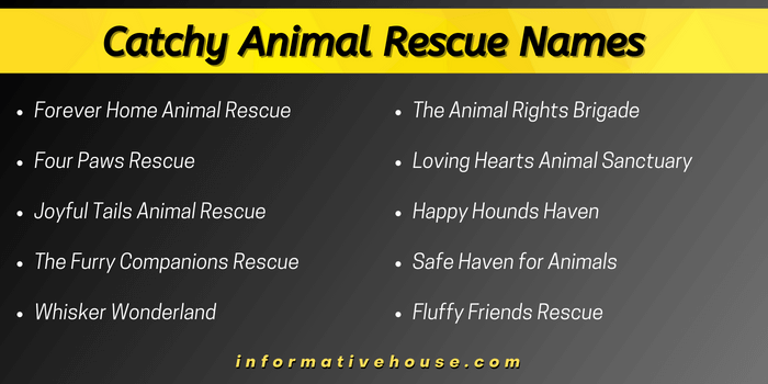 Catchy Animal Rescue Names