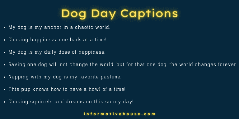 Dog Day Captions