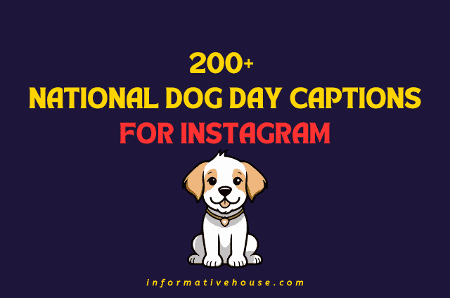 National Dog Day Instagram Captions
