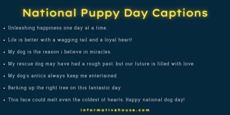 National Puppy Day Captions
