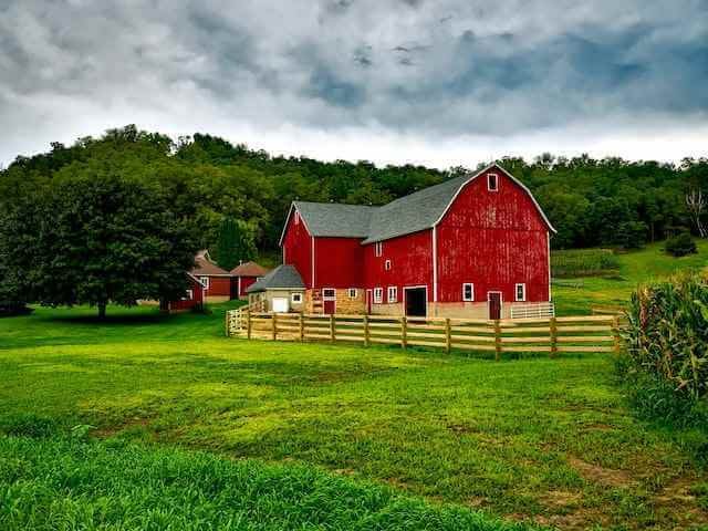 A beautilful farm in a greenry area