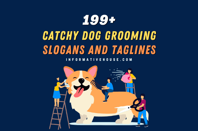 Catchy Dog Grooming Slogans