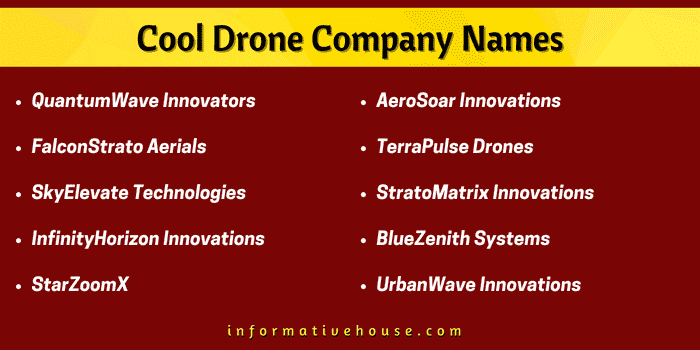 Top 10 Cool Drone Company Names