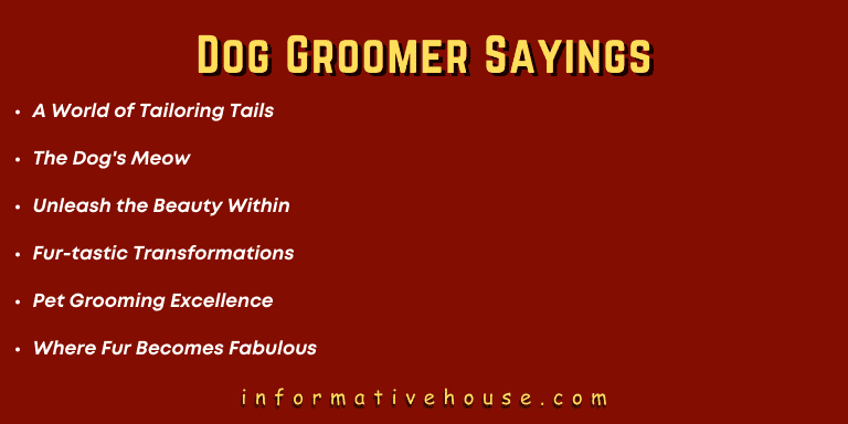 Top 5 Dog Groomer Sayings