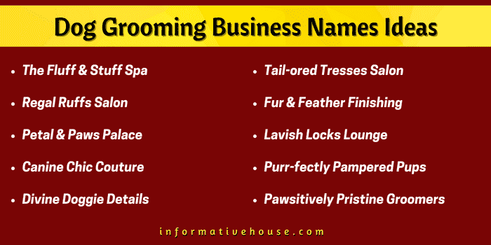 Top 10 Dog Grooming Business Names Ideas for startup