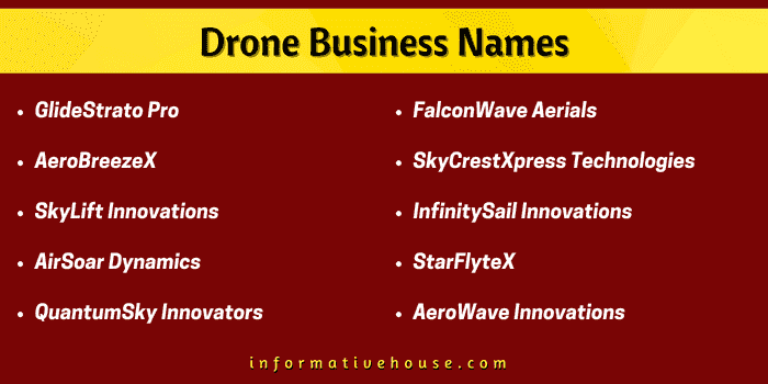 Top 10 Drone Business Names