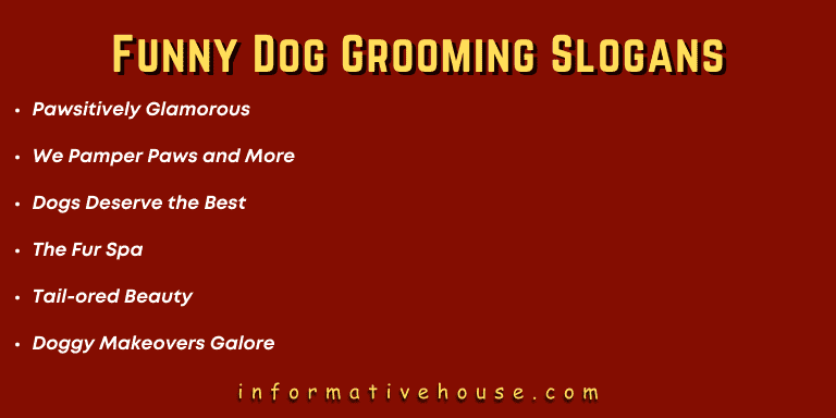 Top 5 Funny Dog Grooming Slogans