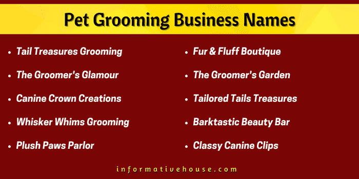 Top 10 Pet Grooming Business Names to get started