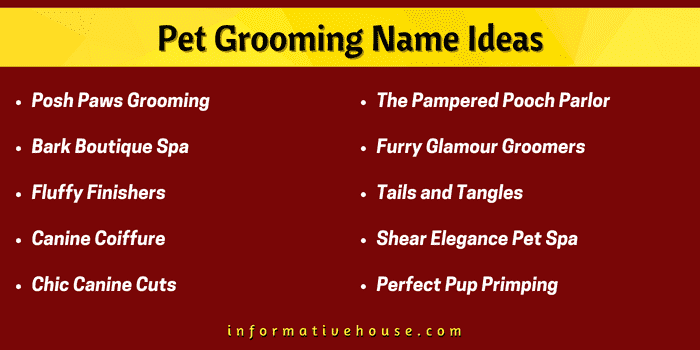 Top 10 Pet Grooming Name Ideas to start your pet grooming business