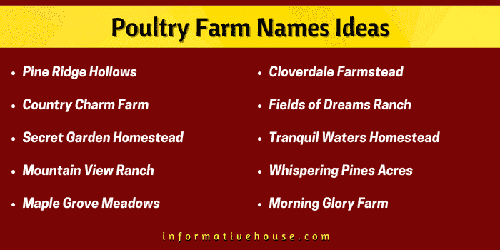 Top 10 Poultry Farm Names Ideas to start your own poultry farm
