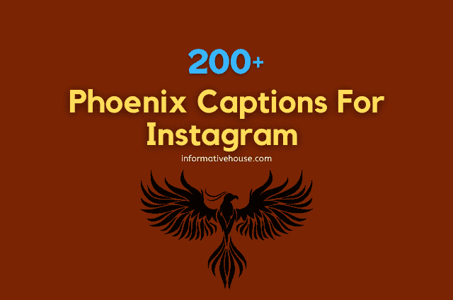 Phoenix Captions For Instagram