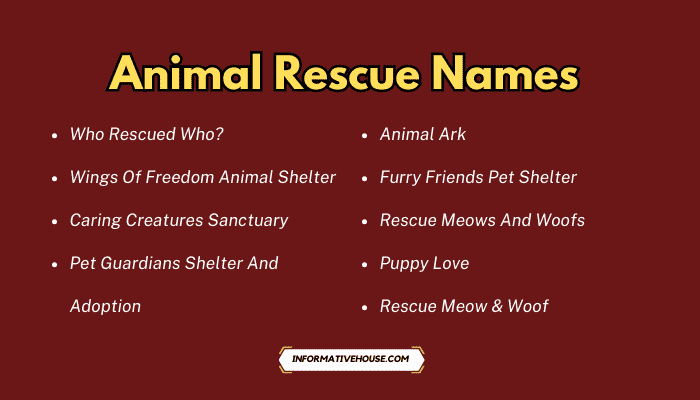 Animal Rescue Names