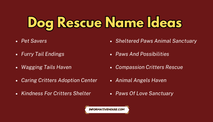 Dog Rescue Name Ideas