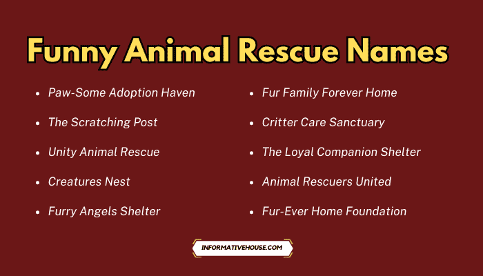 Funny Animal Rescue Names