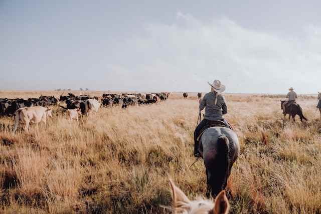 Old Ranch Names