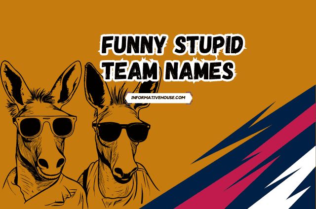 Funny Stupid Team Names