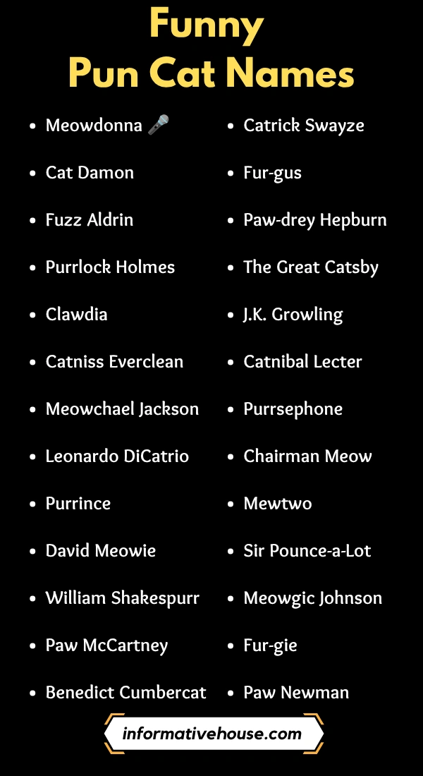 Funny Pun Cat Names
