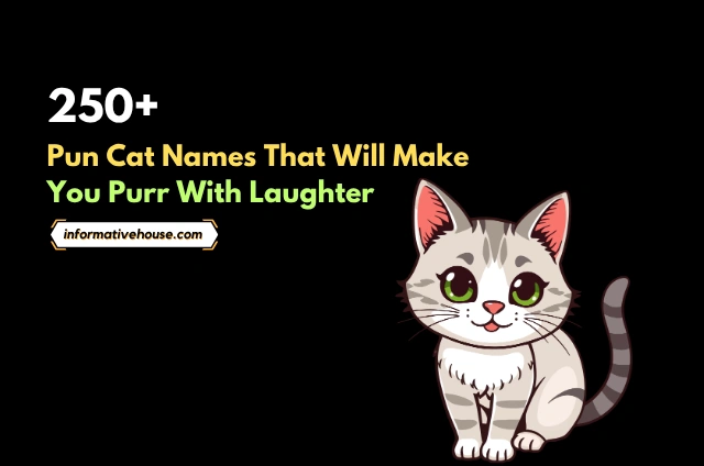 Pun Cat Names